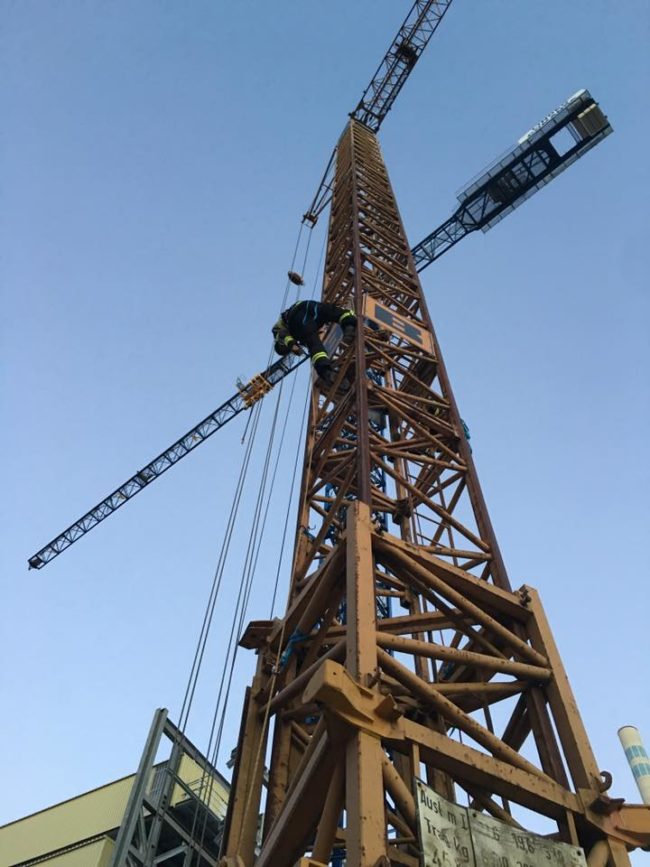 17523273_1999750003585659_6208841884943461942_n