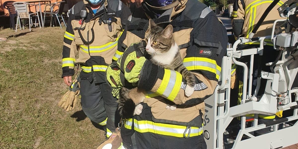 dad175e3-a74d-4c8d-a75d-9fb42d0f0393