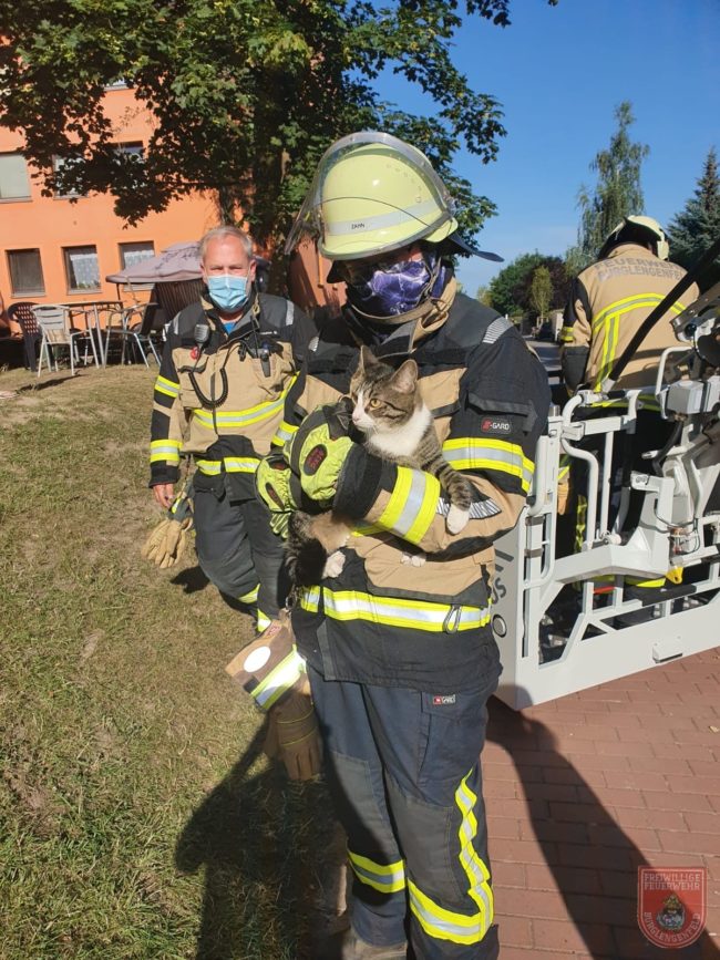 dad175e3-a74d-4c8d-a75d-9fb42d0f0393