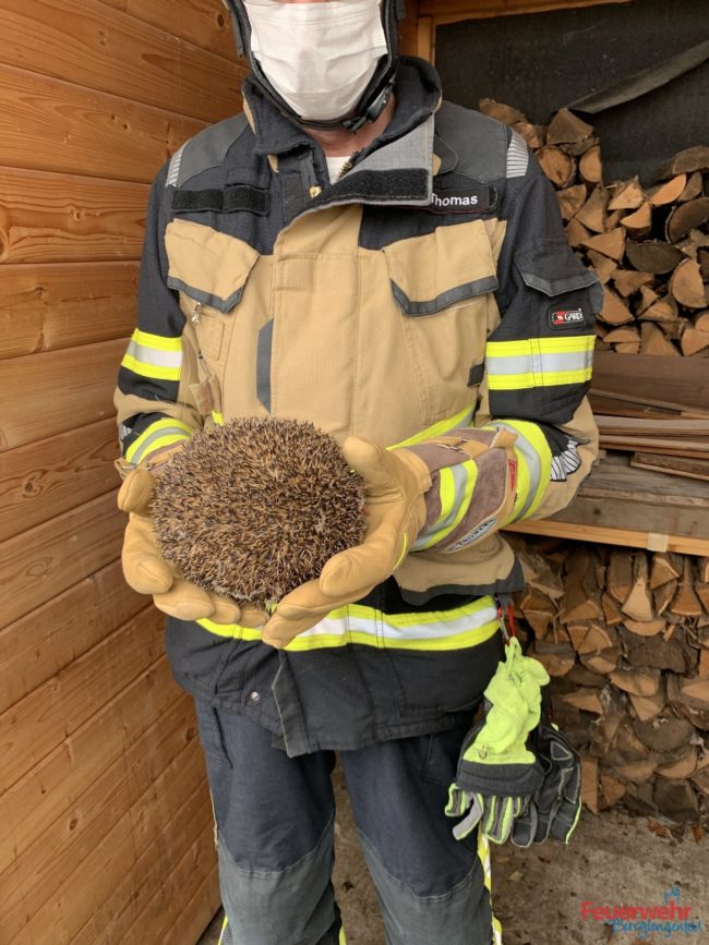 317792CB-4748-49F3-BA5B-A8B4393F4AAD