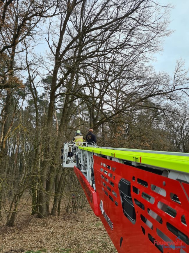 c714ba5a-c8dd-41d6-b5dc-ae204cec389d