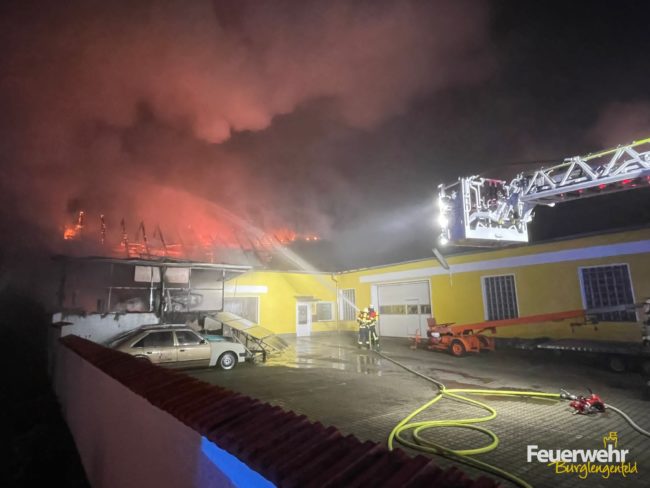 PHOTO-2022-11-13-09-09-41-3